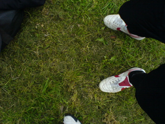 DSC00572.JPG