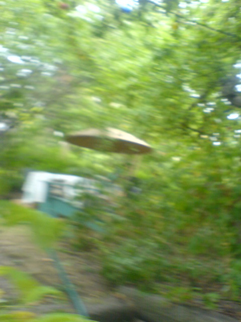 DSC02929