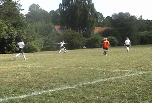 Picture 39