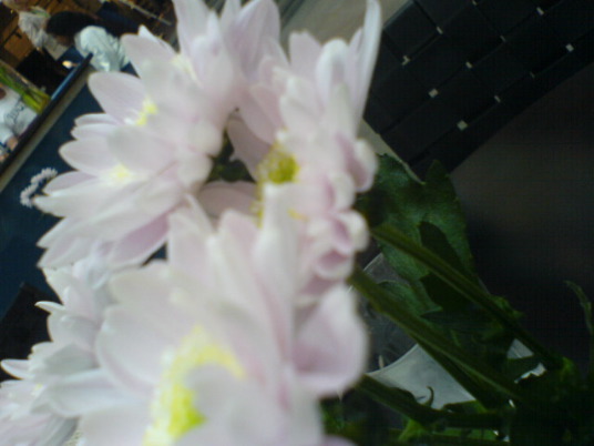 DSC00636.JPG