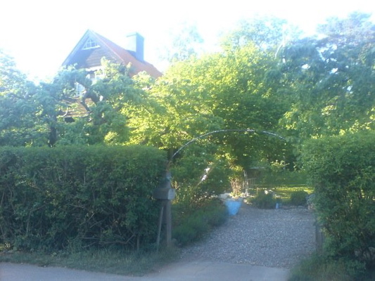 n771860084_568601_6201